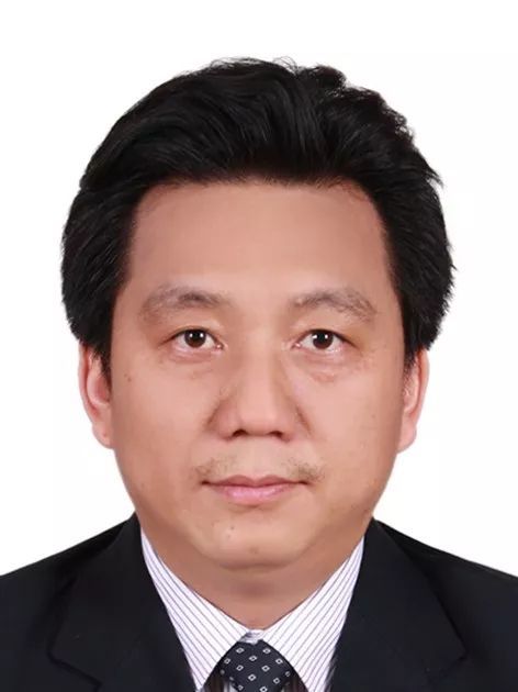 乐投网页版创新论坛第一千零五十二讲： 有机染料—功能化及稳定性强化